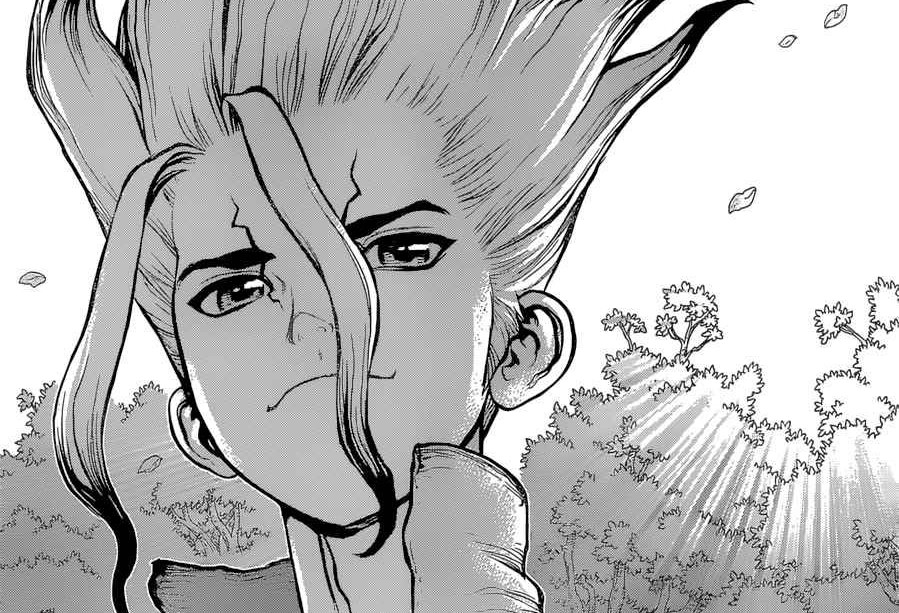 dr.stone copertina