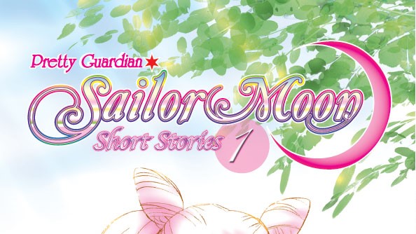 pretty guardian sailor moon